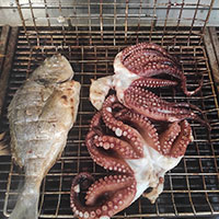 Grilled Tsipoura and Octopus