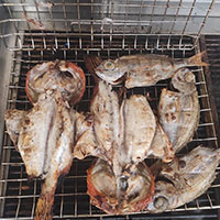 Grill Fish